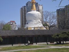 -护国法轮寺