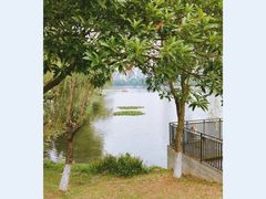 -后襄河公园