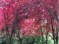 -贵阳市花溪国家城市湿地公园