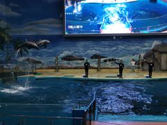 -福州罗源湾海洋世界旅游区