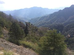 -朱雀国家森林公园