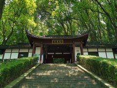 -上海佘山国家森林公园天马山园