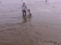 -海天一色海景自助餐厅(西港花园店)