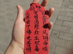 -阳台山自然风景区