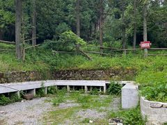 -武陵山森林公园