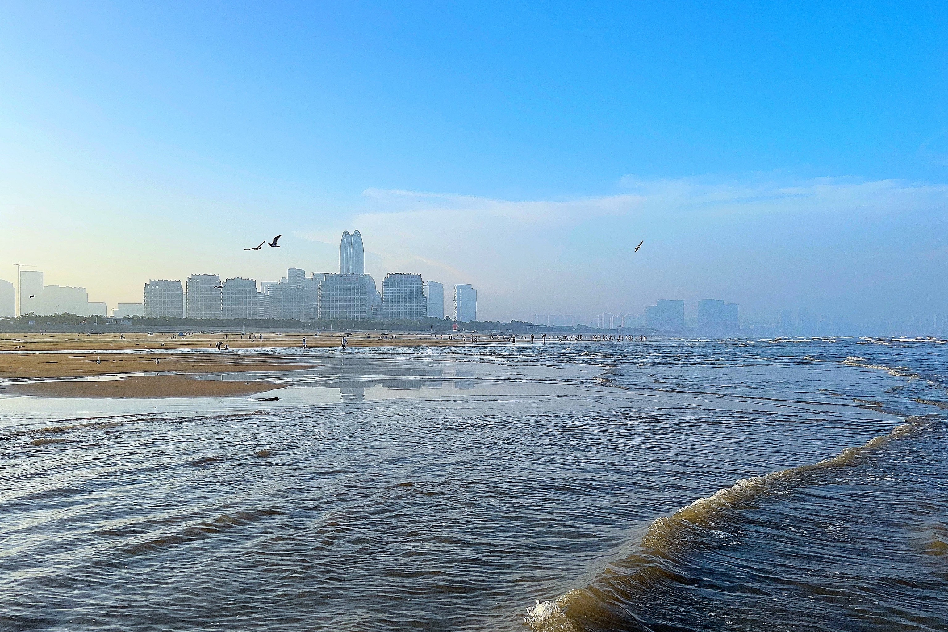 山东青岛 黄岛城市阳台景区 海鸥戏浪9215