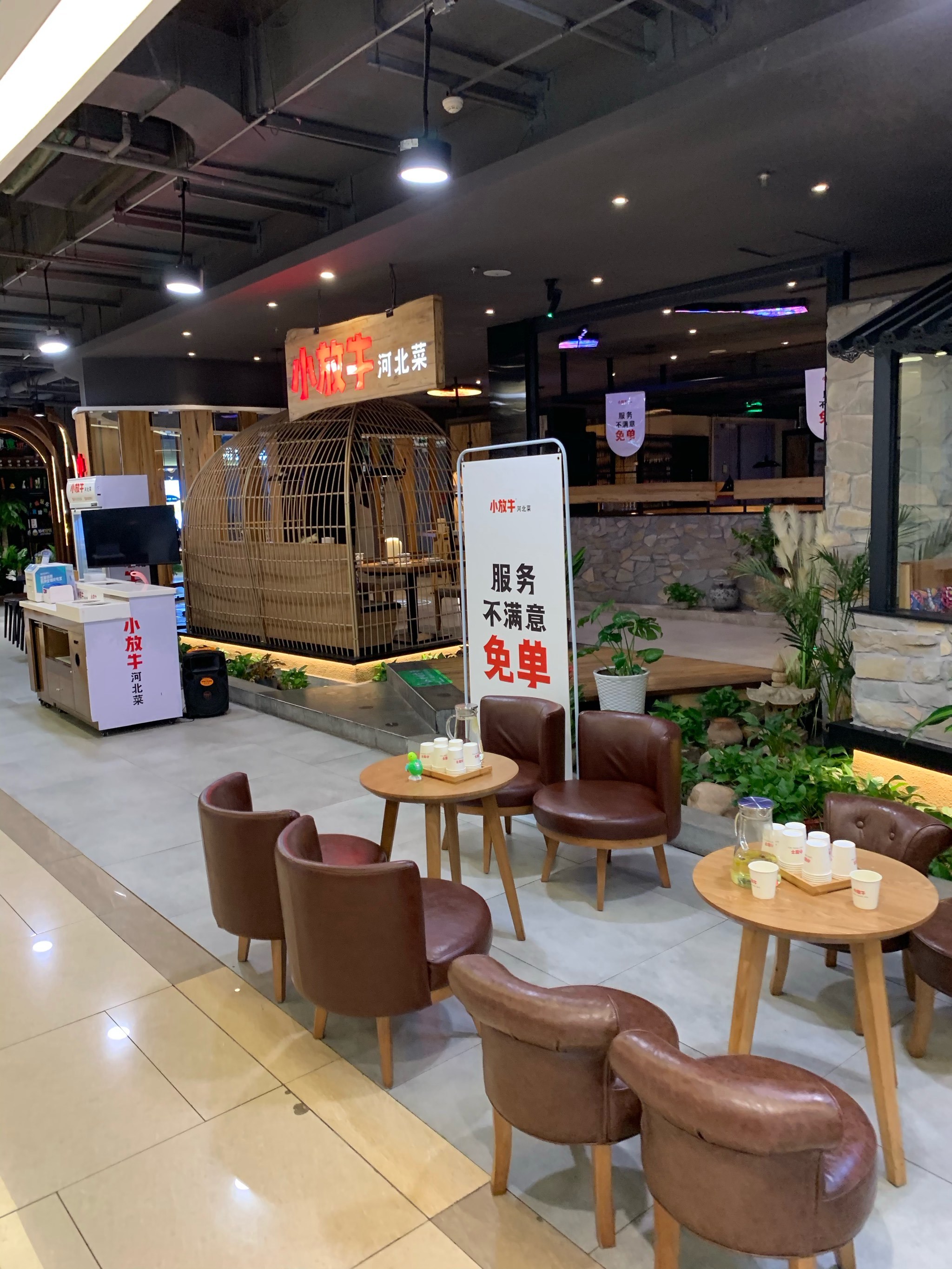 在衡水吃到的一家服务超好的河北菜馆「河