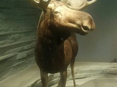-自然博物馆新馆2楼餐厅