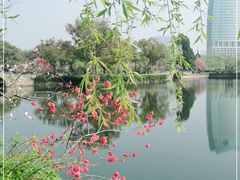 -无锡蠡湖国家湿地公园-蠡园
