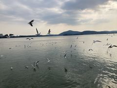 -蠡湖大桥公园