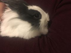 -雨林宠物医院 非犬猫异宠专科