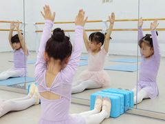 -红舞鞋舞蹈教育(近江校区)