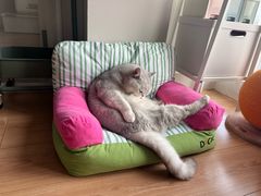 -瑞派蒂凯宠物医院·心脏科·口腔科·皮肤科