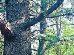 -国家植物园南园