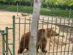 -秦皇岛野生动物园