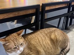 -蓝天射箭馆·专业射箭运动(诚丰广场店)