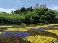 -天目湖涵田度假村