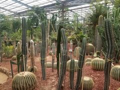 -呀路古热带植物园
