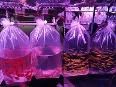 -华声天桥民俗文化园