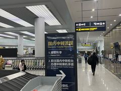 -青岛胶东国际机场