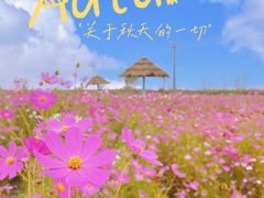 -红海滩国家风景廊道