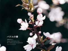 -龙洞风景区-藏龙涧