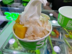 -Salud撒露欧洲冻酸奶(五道口购物中心店)