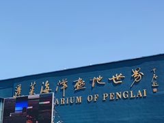 -蓬莱欧乐堡海洋极地世界