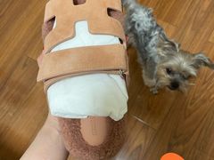 -爱马仕 HERMES(王府井步行街店)