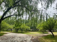 -莲花池公园