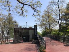 -上海山野camping·户外天幕烧烤·团建拓展营地