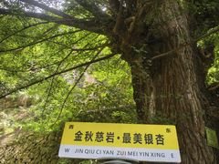 -大慈岩风景区