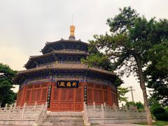 -中国唐苑