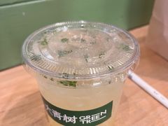 -大青树咖啡(大理古城店)
