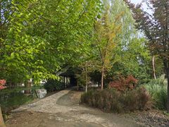 -溱湖国家湿地公园