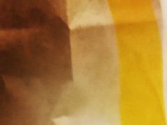 -麦当劳(新洲南路店)