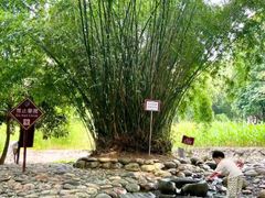 -成都市活水公园