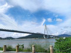 -芒洲湿地公园