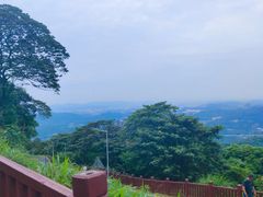 -黄埔油麻山森林公园