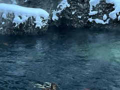 -水磨沟公园