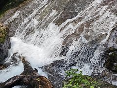 -天目山大树王景区