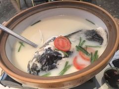 -桃鲤·风味民间家宴淳鱼馆(千岛湖店)