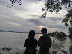 -宝安西湾红树林湿地公园