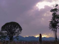-金海湾滨江公园