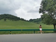 -关山草原