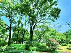 -云溪植物园
