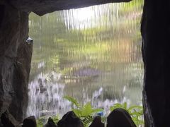 -青青世界