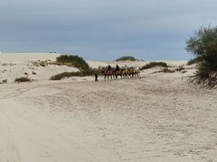 -库伦旗银沙湾旅游景区