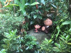-Jungle Kitchen