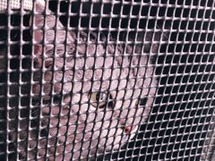 -爱侣宠医·鹦鹉专科·小型哺乳类·异宠专科(灵石路店)